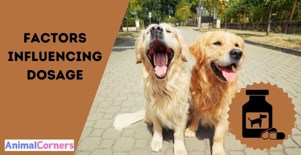 Yunnan Baiyao Dosage for Dogs. Factors Influencing Dosage