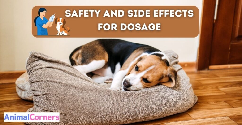 Yunnan Baiyao Dosage for Dogs: Safety and Side Effects