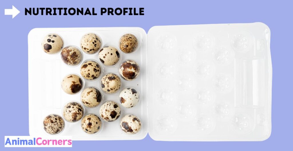 Button Quail Eggs