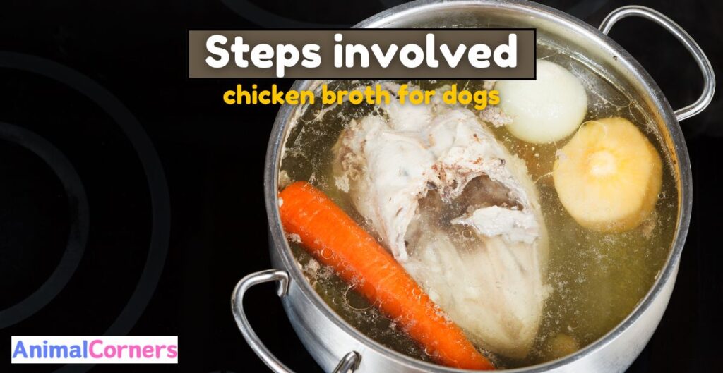 How to make Chicken Broth for Dogs? Steps Involved