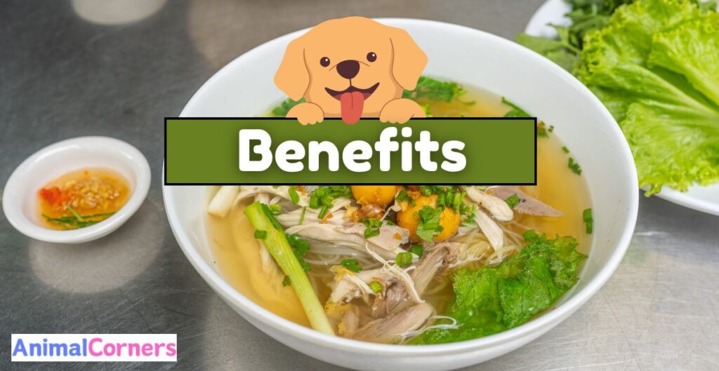 Benefits of Chicken Broth for Dogs