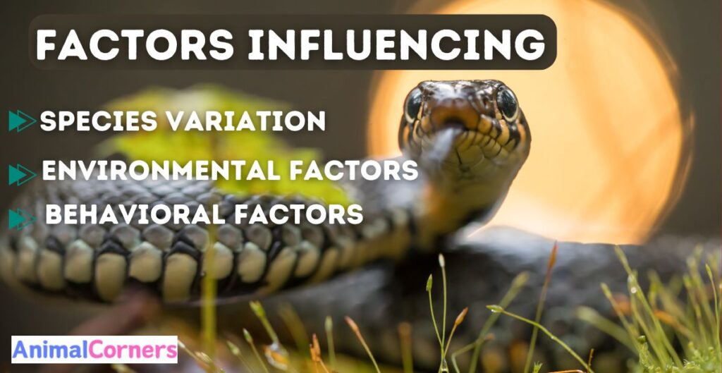 Factors Influencing: How Long Can Snakes Hold Their Breath