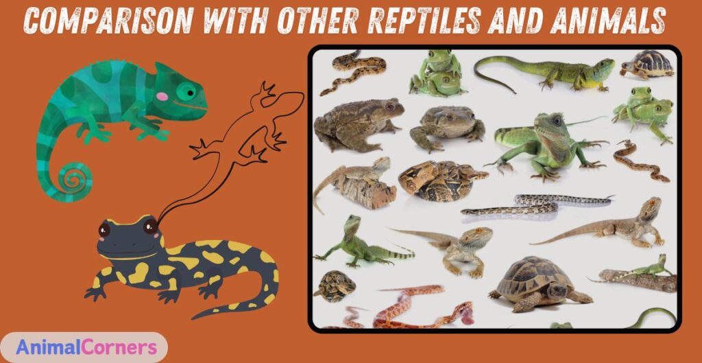 Comparison with Other Reptiles and Animals