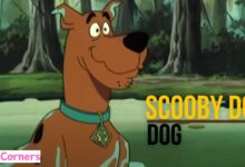 What Kind of Dog Was Scooby Doo?