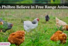 Does Philbro Believe in Free Range Animals