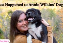 What Happened to Annie Wilkins Dog