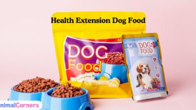 Health Extension Dog Food