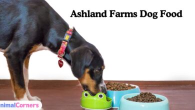 Ashland Farms Dog Food