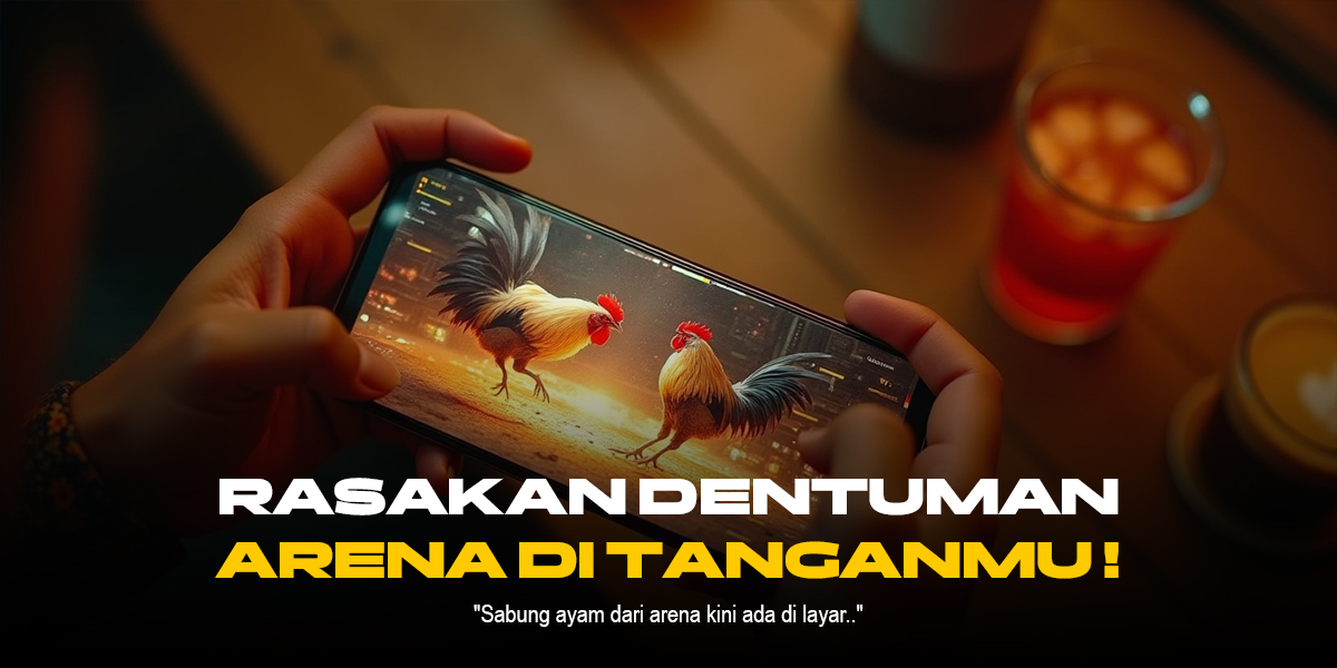 Mengenal Ayam Bangkok: Raja Sabung Ayam SV388