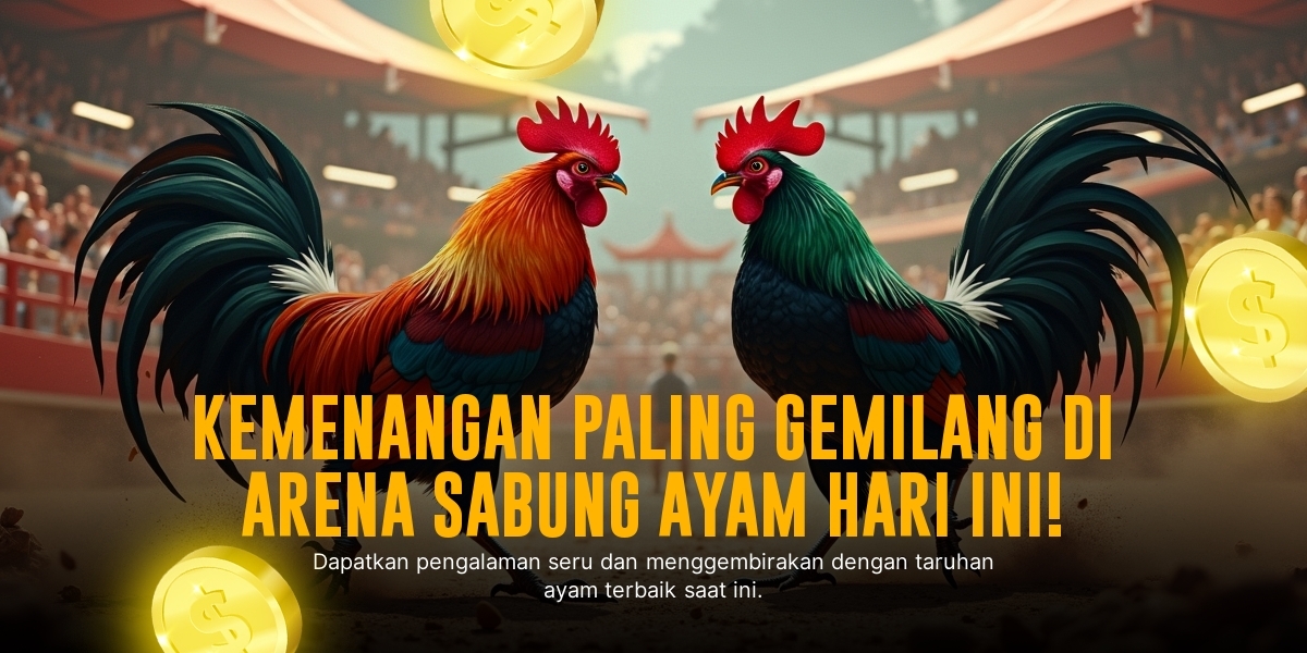 Mengenal Ayam Bangkok: Raja Sabung Ayam dengan Keunggulan Taruhan di SV388